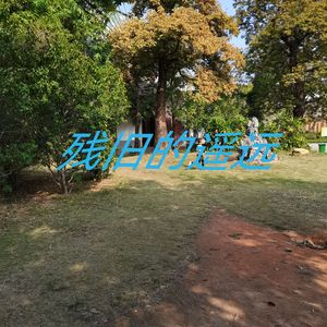 残旧的遥远)