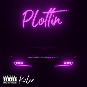 Plottin