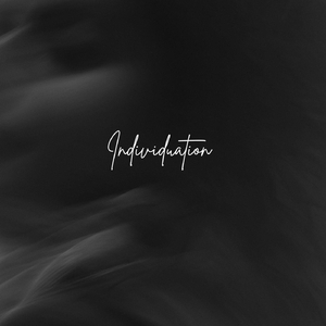 Individuation