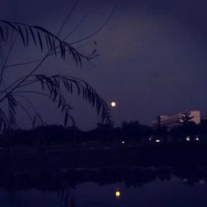 梁老师Tsong-Tsong梁老师不如不见面remix（PP_xY remix）