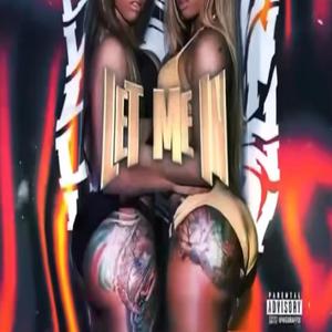 Let me in (feat. Swizzl & Don altae)