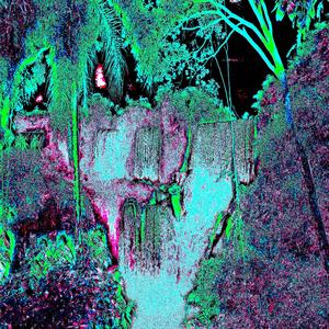 Jungle by the Falls
