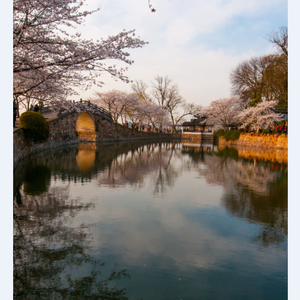 七日黄粱（Cover 経田康子《夕焼け》）