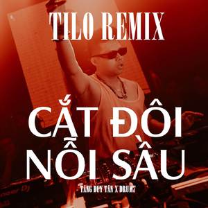 Cắt Đôi Nỗi Sầu (TiLo Remix Beat)