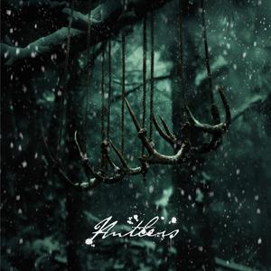 Sharks Of The Icy North