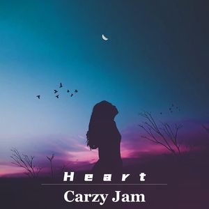 Watergate-Heart of asia（Carzy Jam remix）