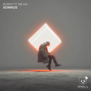 Somnus (Extended Mix)