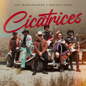 Cicatrices