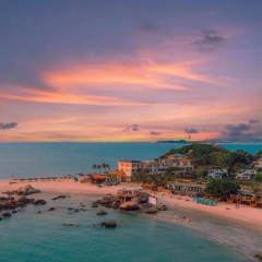 温柔海风吹拂 (古筝)