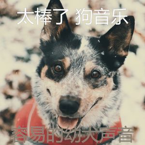 温和幼犬梦想