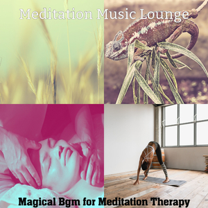 Inspired Shakuhachi and Harps - Vibe for Prana