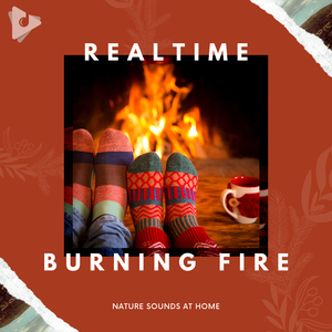 Wood Burning Fireplace