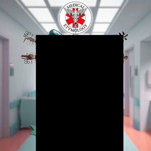 The Vitruvian Dissection