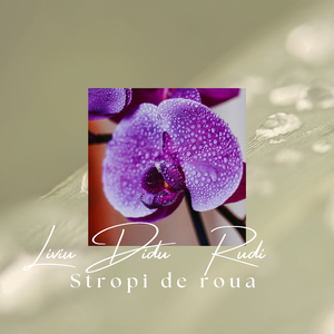 Stropi de roua