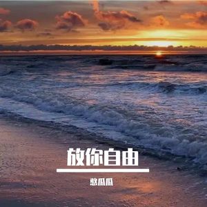 放你自由