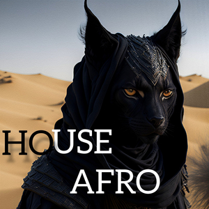 HOUSE AFRO