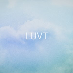 Evening Light Silhouettes