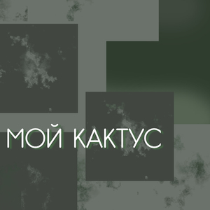 Мой кактус