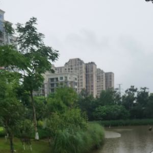 晓雨倾城的旋律