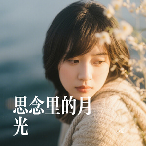 思念里的月光