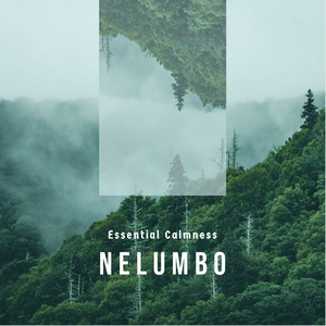 Nelumbo