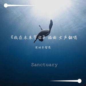 避难所,Sanctuary