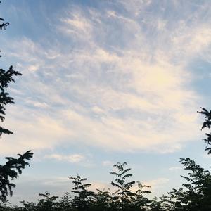 平凡天使（翻自 邓紫棋.）