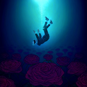 Into The Dark (Acoustic)