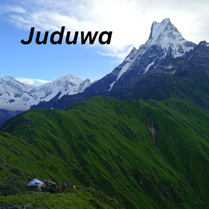 Juduwa