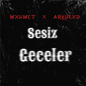 Sesiz Geceler