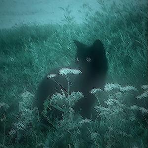 when you're all alone