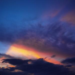 惋惜（纯音乐）