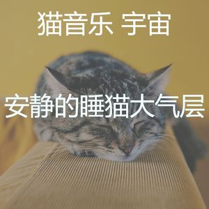 精彩睡猫环境