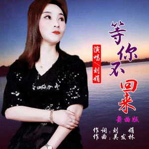 等你不回来 (舞曲版)