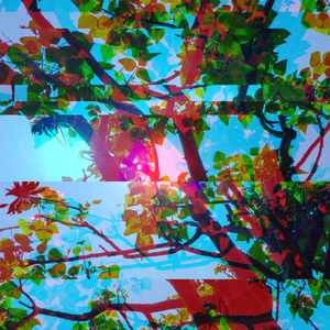 精彩早上休息环境