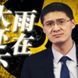 大雨还在下（罗翔）20