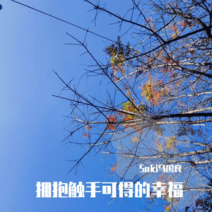 Sd.17(拥抱触手可得的幸福)