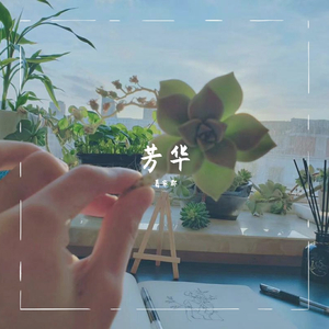 芳华