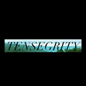 Tensegrity