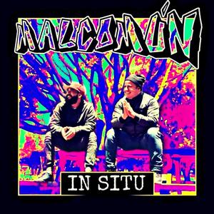 In Situ (feat. UrGon & Mal comun)