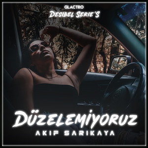 Düzelemiyoruz (Desibel Serie's)