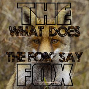 What Does the Fox Say (Single Mix)