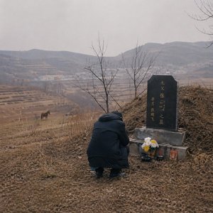 飞八分钱给我托梦