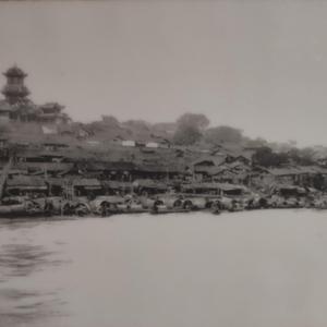 所以这叫什么名字