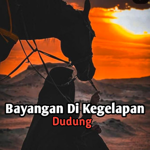 Bayangan Di Kegelapan