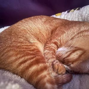 与你共度的四季