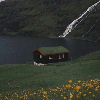 淨化亂杂｜轻音乐