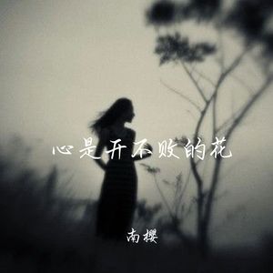 心是开不败的花
