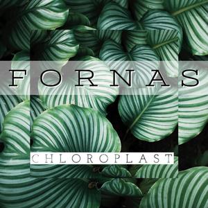 Chloroplast