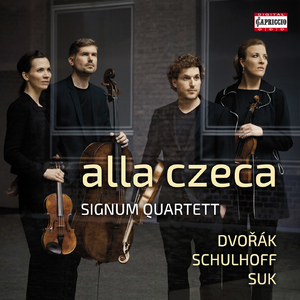 String Quartet No. 13 in G Major, Op. 106, B. 192:II. Adagio, ma non troppo